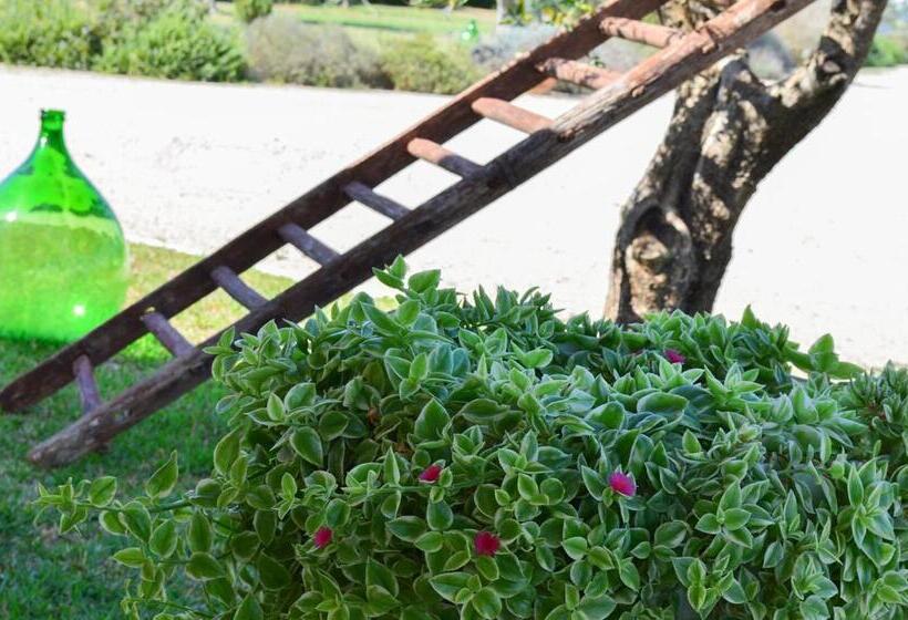 آپارتمان 1 خوابه, Agriturismo Residenza Gemma