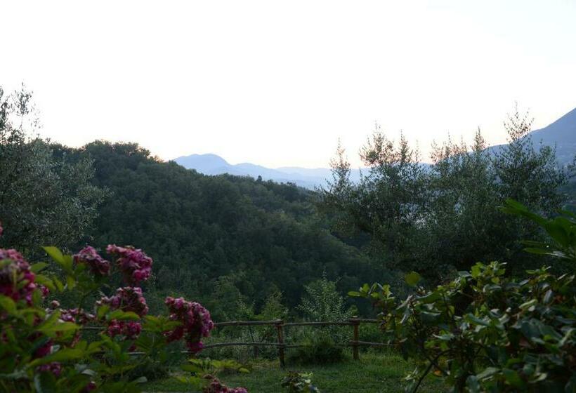 标准间, Agriturismo Colle Tocci