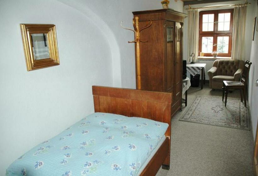 Номер Стандарт Индивидуальный, Altstadt Pension Zaremba