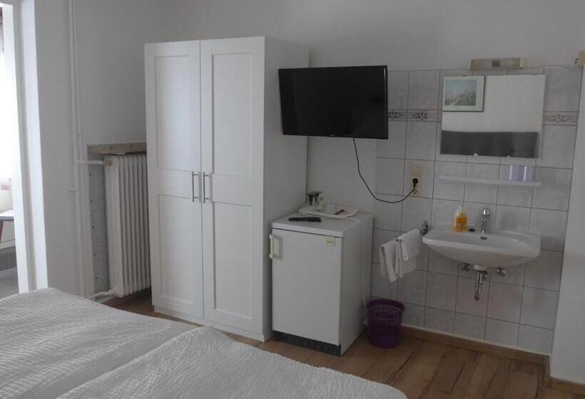 Номер Стандарт, Pension Schneider