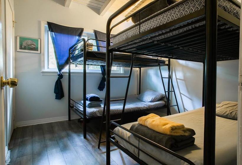 Кровать в Общей Комнате, Tallahassee Sun & Moon   Hostel