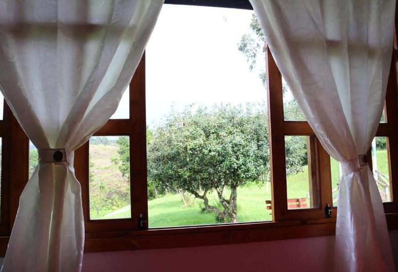 스탠다드 룸, Finca La Toscana