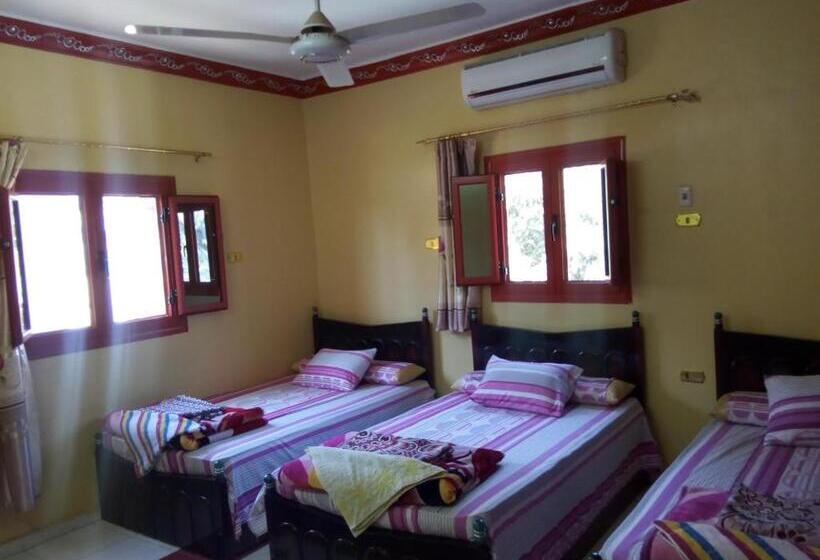 اتاق استاندارد سه نفره, El Amin Guest House