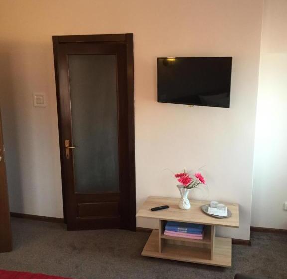 חדר סטנדרט, Pensiunea Flora