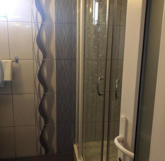 חדר סטנדרט לשלושה, Pensiunea Flora