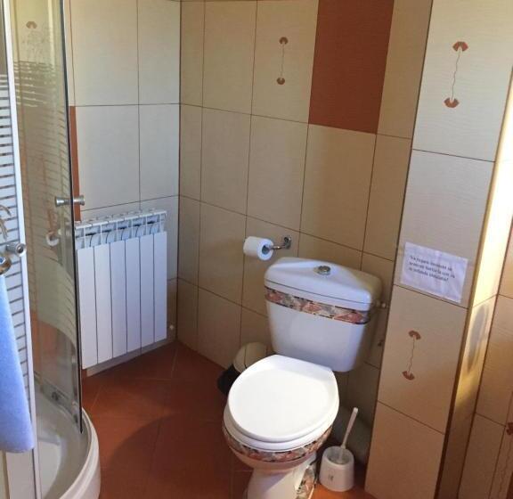 חדר סטנדרט, Pensiunea Flora