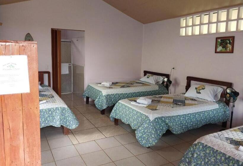 Четырехместный Номер Стандарт, Posada Rural Oasis