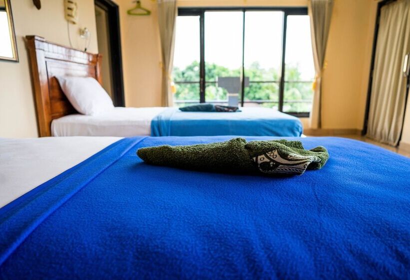 Кровать в Общей Комнате, Summer Guesthouse Lovina