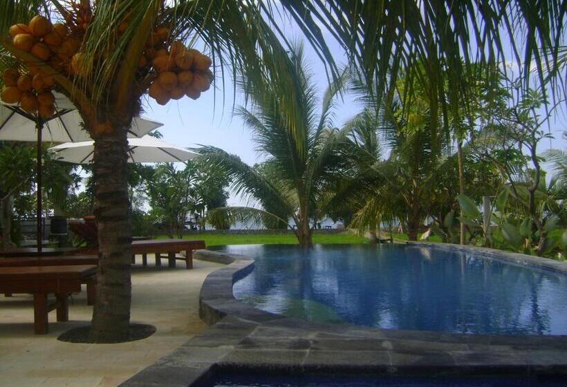 Апартаменты 1 Спальня Вид на Море, Villa Mangga Beach