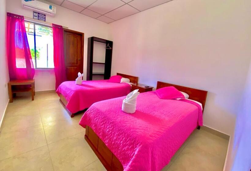 اتاق اکونومی, Hostal Punta Arena