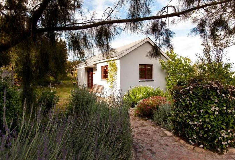 Бунгало Стандарт, Summerhill Guest Farm