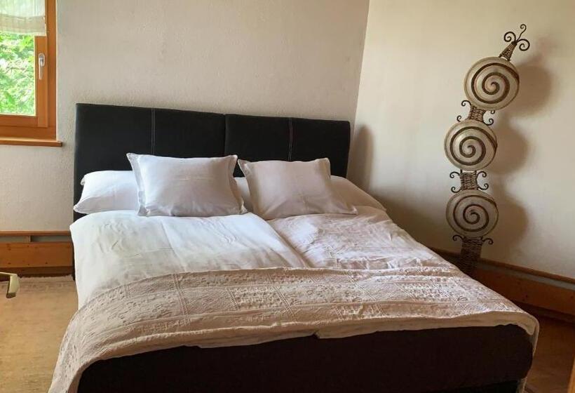 豪华工作室, Bed & Breakfast Region Murtensee