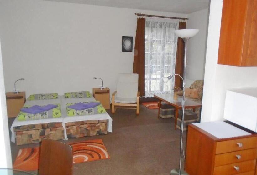 Люкс с Террасой, Wellness Penzion Lázně Jablonec