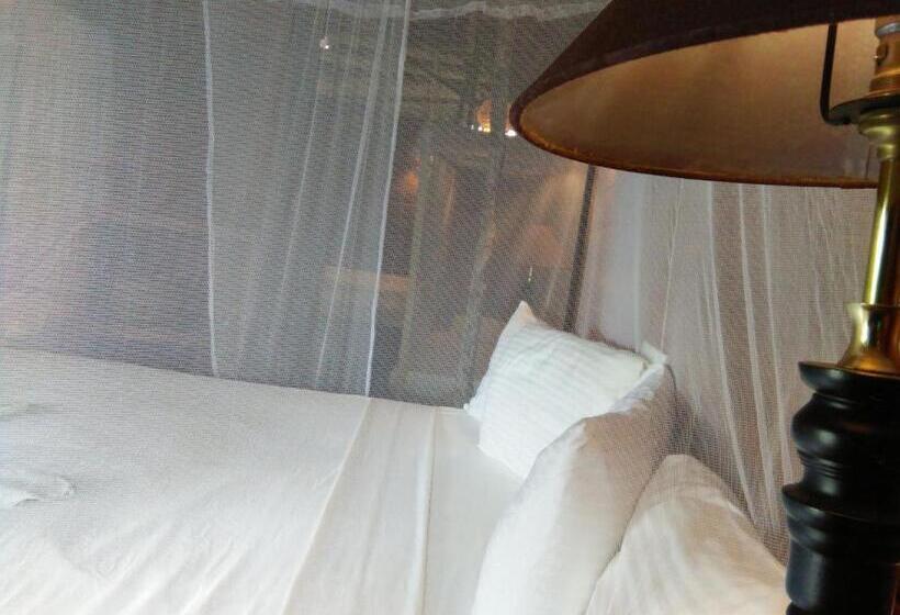 اتاق اکونومی, Cinnabar Resort