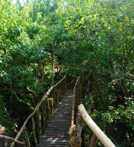 اتاق استاندارد با چشم‌انداز دریا, Cinnabar Resort