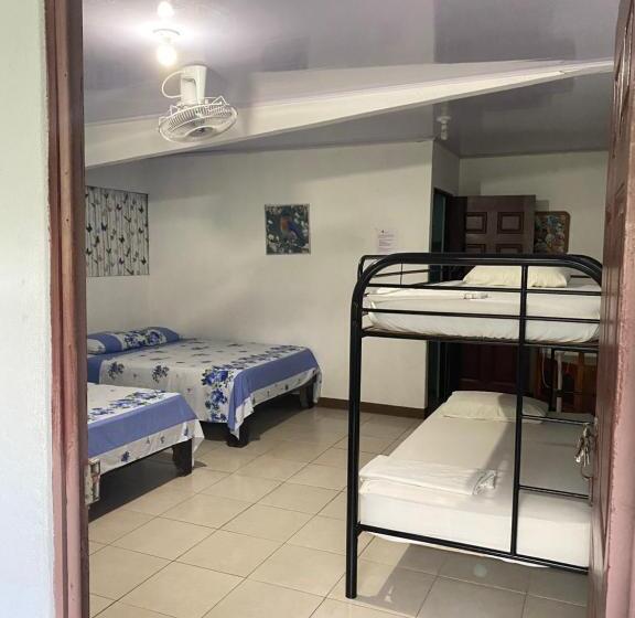 Семейный Номер, Blue Morpho House B&b