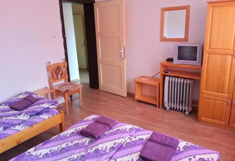 Апартаменты 1 Спальня, Guest House Zora