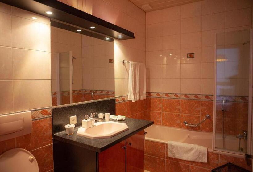 Номер Стандарт, Hôtel De L Ours