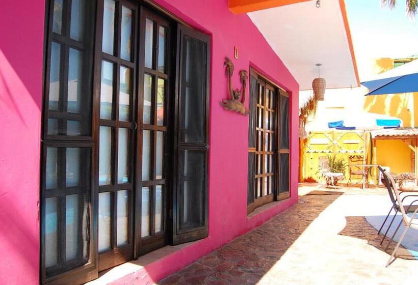 Bangalô Standard, Leo's Baja Oasis