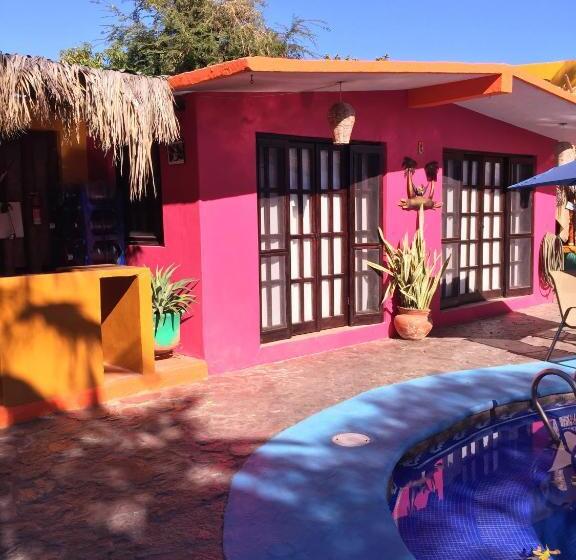 スタンダードバンガロー, Leo's Baja Oasis