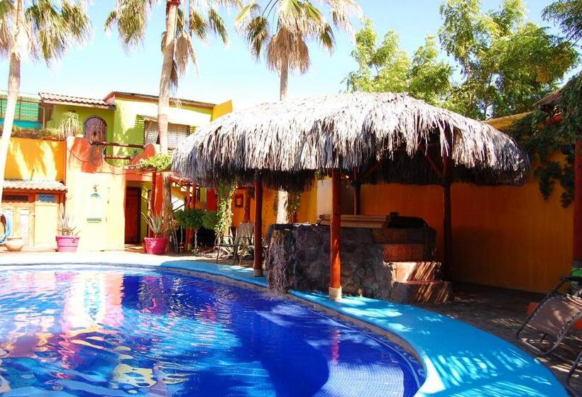 Casa 1 Quarto, Leo's Baja Oasis
