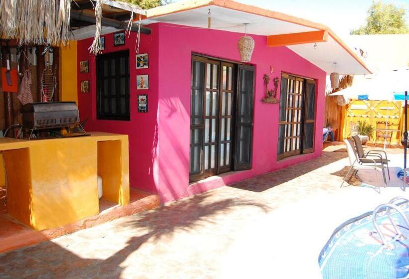 Bangalô Standard, Leo's Baja Oasis