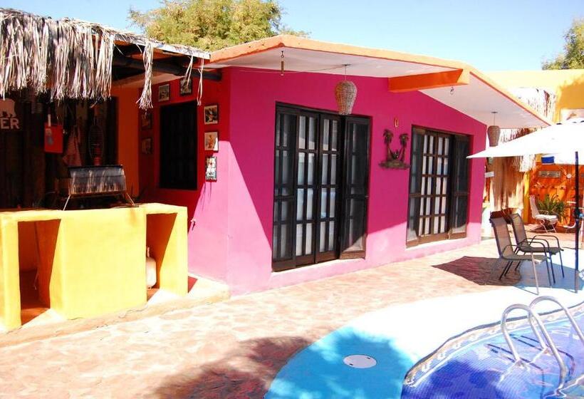 Bangalô Standard, Leo's Baja Oasis