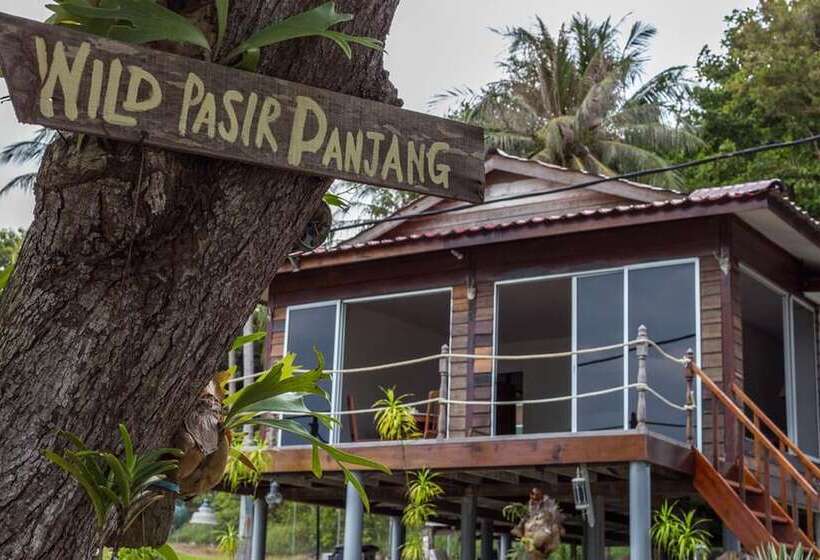 스탠다드 방갈로, Wild Pasir Panjang