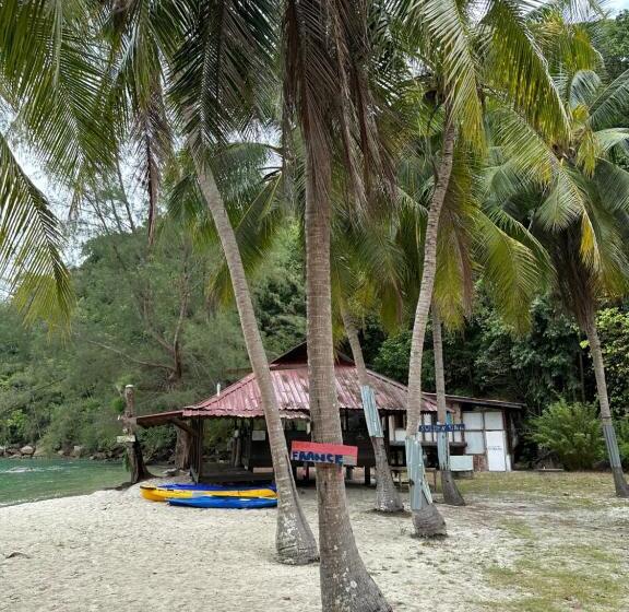 스탠다드 방갈로, Wild Pasir Panjang