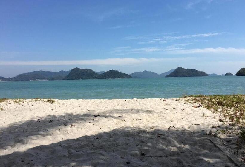 스탠다드 방갈로, Wild Pasir Panjang
