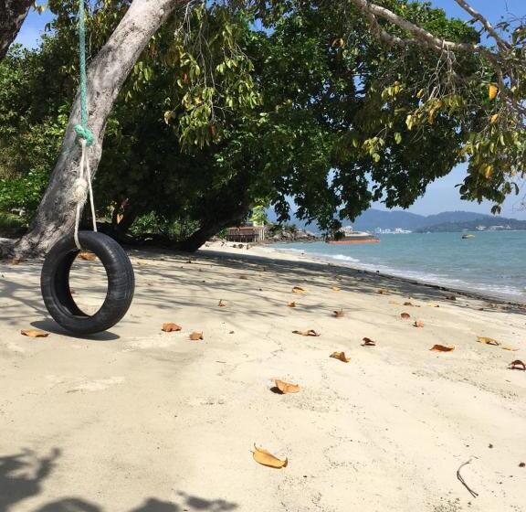 بنجلو قياسى, Wild Pasir Panjang
