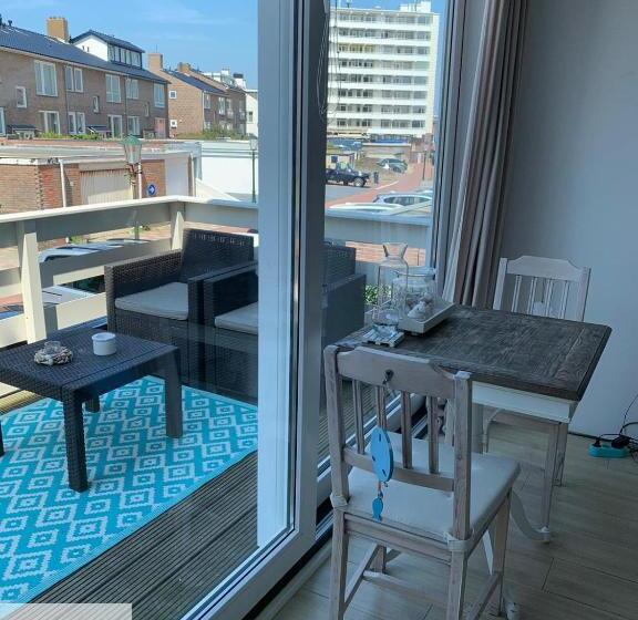 Студия Стандарт, El Sol Zandvoort 2