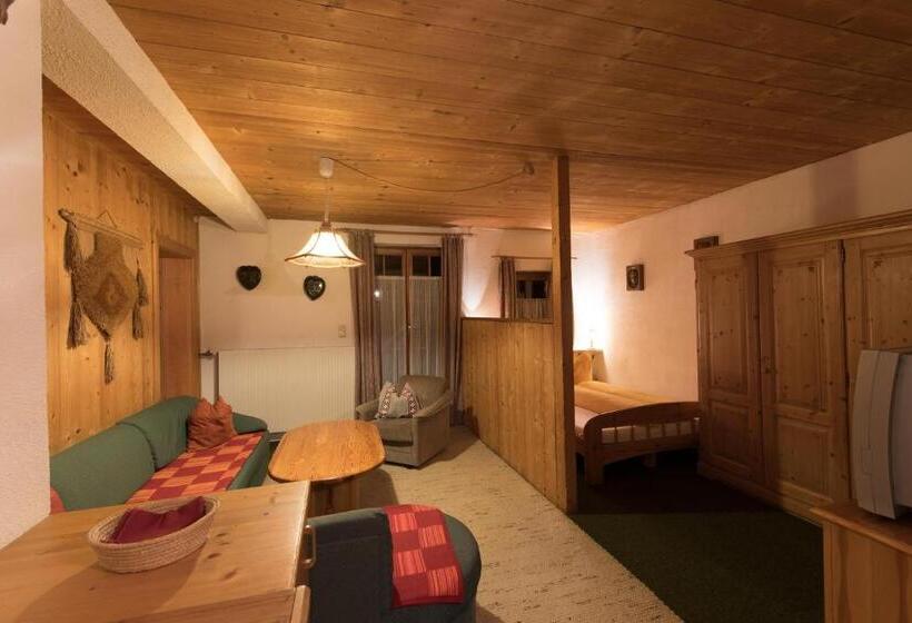 شقة غرفة واحدة مزودة بتراس, Gasthof Zur Traube