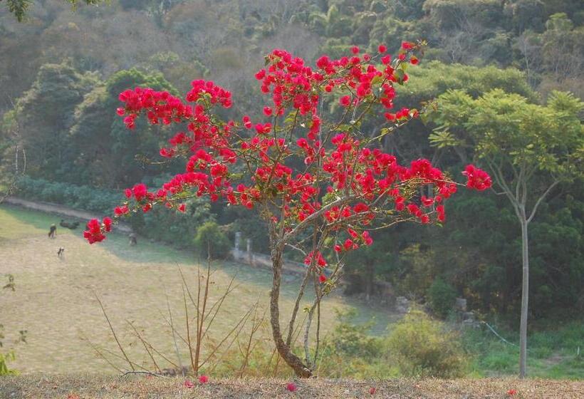 Шале 1 Спальня, Fazenda Cachoeira Grande