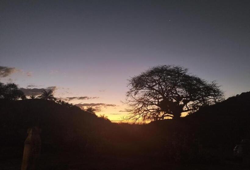Номер Стандарт, Fazenda Cachoeira Grande