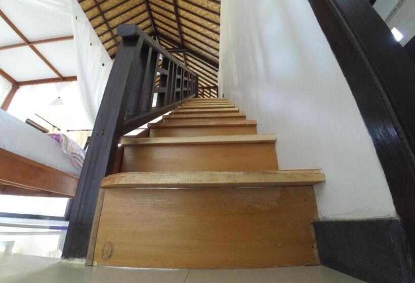 家庭间, The Bbq Guest House