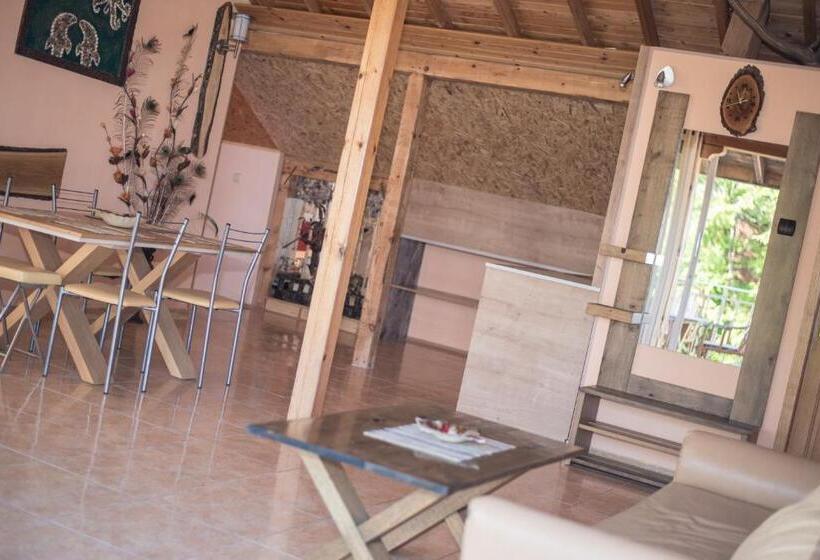 דירת חדר עם טרסה, Eleonor Guest House