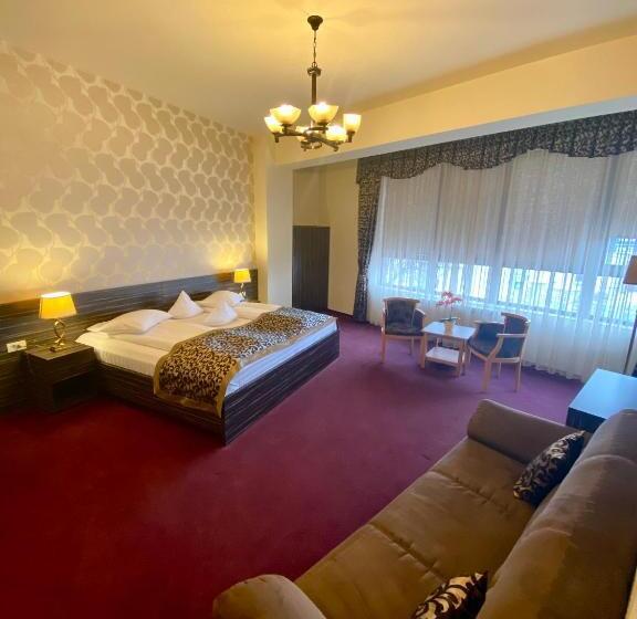 침실 1개 디럭스 아파트, Pensiunea Rix Rooms