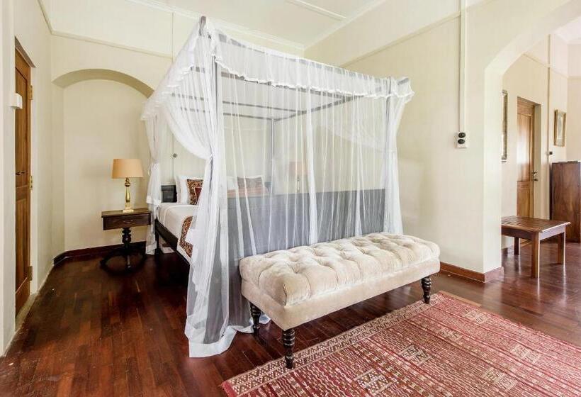 Suite, Ashburnham Tea Estate