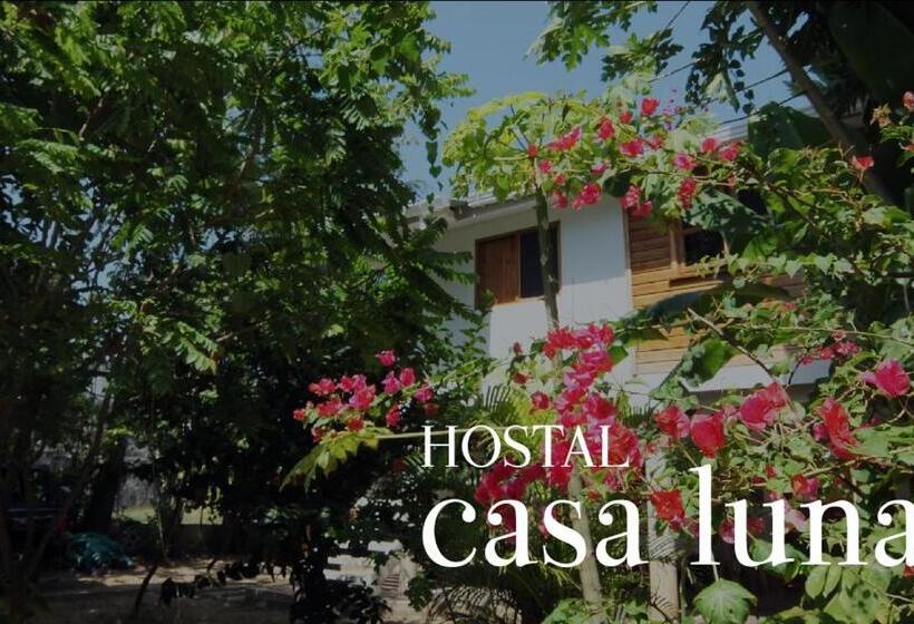 استودیو استاندارد با تراس, Hostal Casaluna San Andres