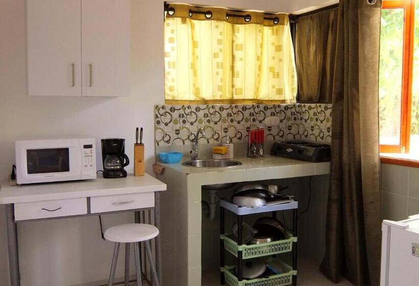 استودیو استاندارد با تراس, Hostal Casaluna San Andres