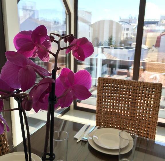 آپارتمان لوکس 1 خوابه, Elysium