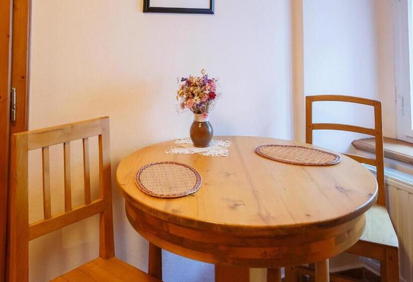 1 Sovrums Comfort Lägenhet, Pension Paseka