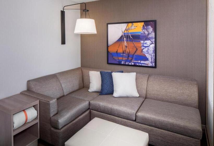 身障者適用キングサイズベッドルーム, Hyatt Place Mount Pleasant Towne Centre