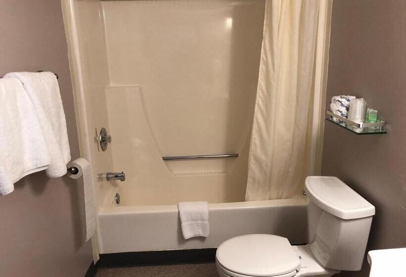 Номер Стандарт, Voyageur Motel