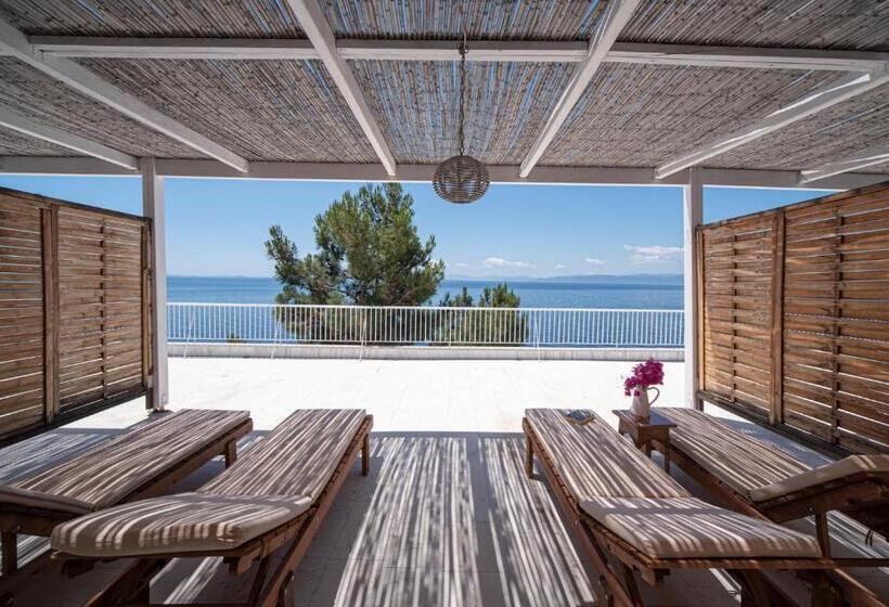 Family Suite, Cokkinis