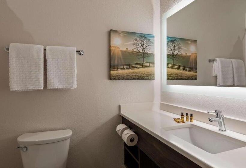 带大床的标准间, Best Western Plus Elizabethtown Inn & Suites